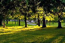 Park