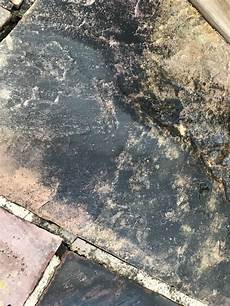 Patio Gaps Filler