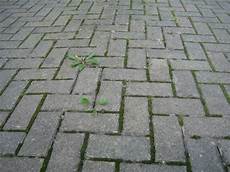 Paver Filler Sand