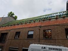 Plaster And Putties