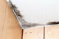 Plaster Growing Entrepreneurial