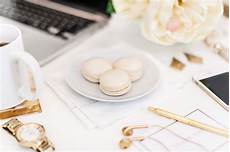 Plaster Growing Entrepreneurial