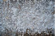 Plaster Limes