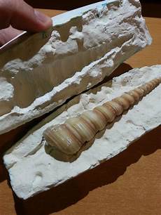 Plaster Molds