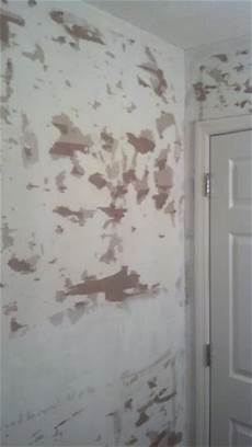 Plaster Product