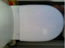 Plastic Toilet Seat