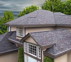 Polymer Roofing