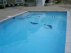 Pool Dolphin Mosaic