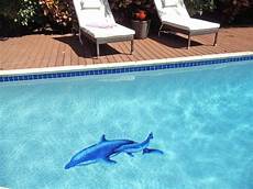 Pool Dolphin Mosaic