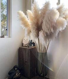 Reed Decoration