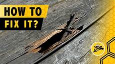 Repairing Deck Boards