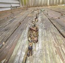 Rotting Deck Boards
