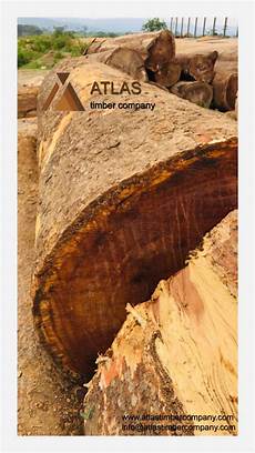 Sapelli Timber