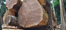 Sapelli Timber