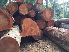 Sapelli Timbers