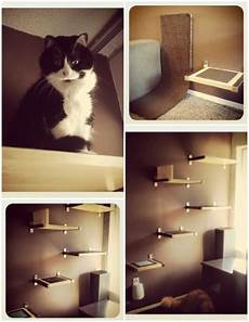 Shelf Decoration Systems