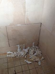 Shower Silicone