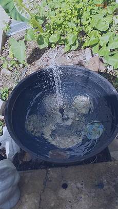 Siphons