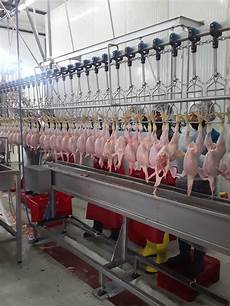 Slaughterhouse Cooling Systems