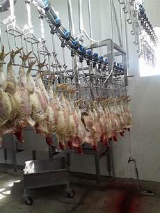 Slaughterhouse Cooling Systems