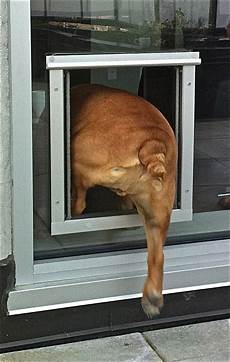 Sliding Door