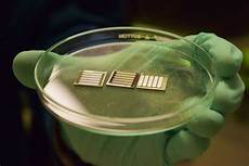 Solar Cell