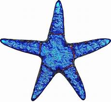 Starfish Pool Mosaic