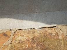 Stone Joint Filler