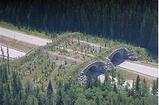 Travelling Tunnel Form