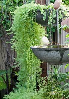 Water Repellents