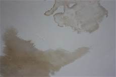 Water Resistant Plasterboard