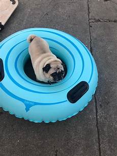 Waterpark Equipment