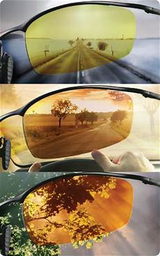 Windshield