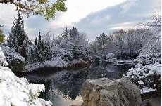 Winter Garden
