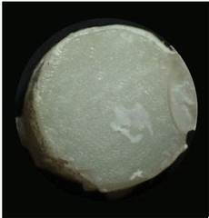 Zirconia Adhesive